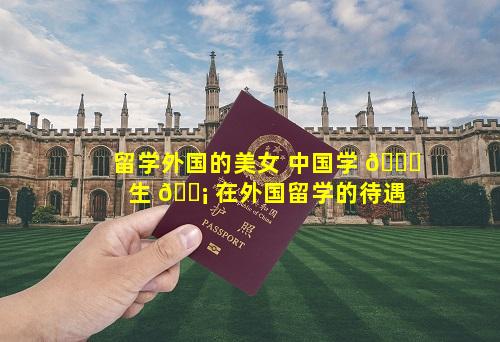 留学外国的美女 中国学 🐈 生 🐡 在外国留学的待遇